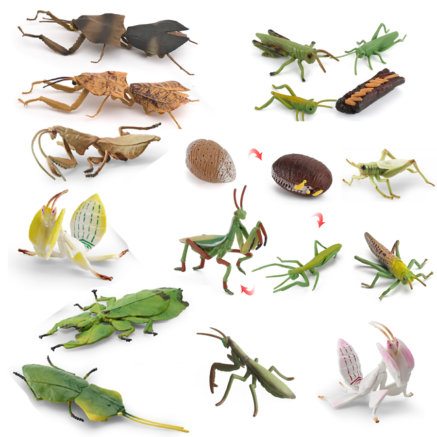 Model Figur Serangga Daun Raks - Kids Toys Home ulasan dan harga